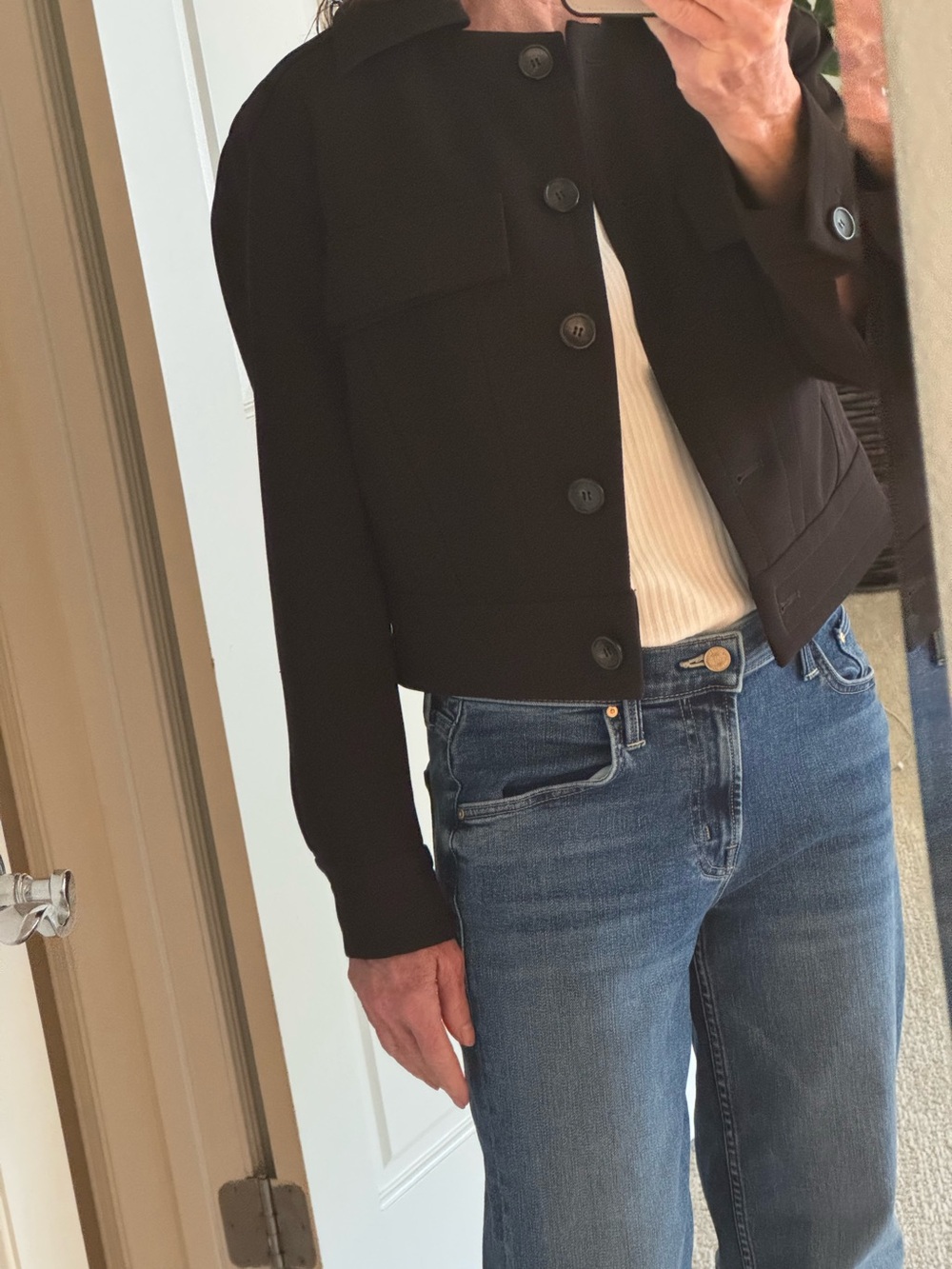ALC Blake cropped jacket